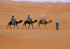 Travel - Morocco - Desert - #m69_ww