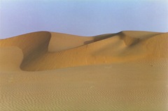 plain-desert